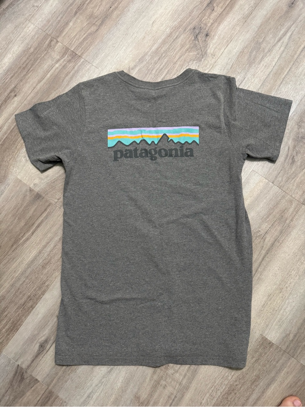Patagonia Gray Short-Sleeve Tee with Multicolor Stripe Mountain Logo